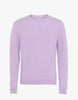 COLORFUL STANDARD CLASSIC MERINO WOOL CREW KNIT
