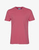 COLORFUL STANDARD CLASSIC ORGANIC TEE